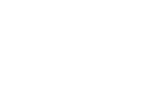 adidas white sm